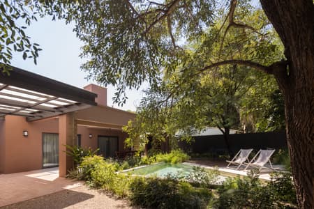 House around the Tree